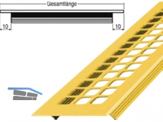 Lftungsprofil 80x 600 mm mit Quadratlochung gold eloxiert