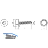 DIN7500DE (D) M 6x25 verzinkt gewindefurchende 6kt-Schraube mit Bund