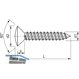 DIN7983C 4.8x 32 Phillips-KS Edelstahl A2 Linsensenkkopf-Blechschraube ~ISO7051